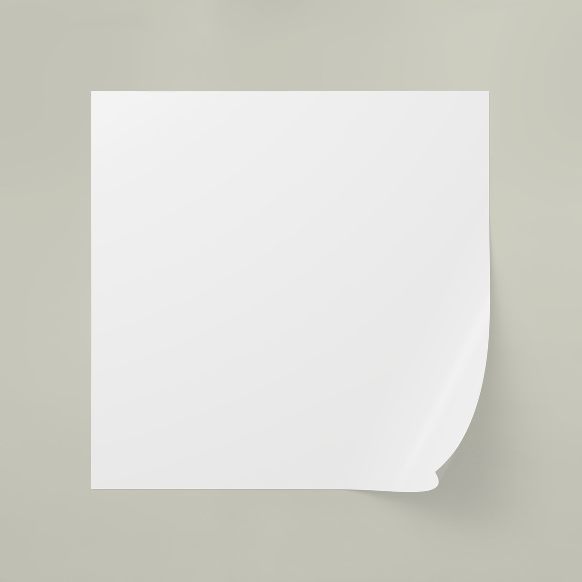Square Sticker Label Rolls
