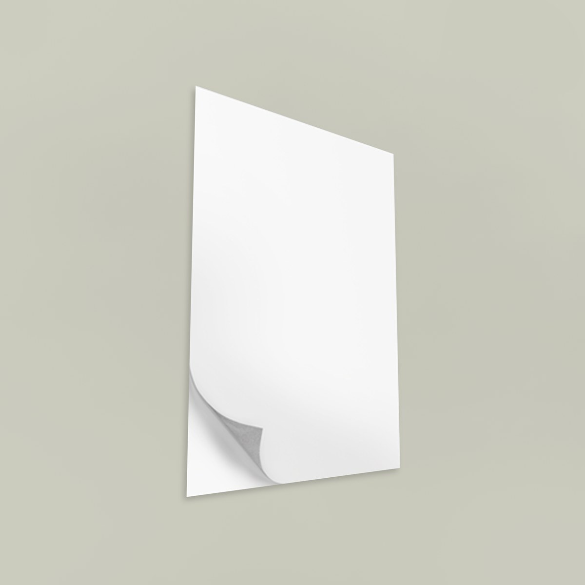 Wall Decals